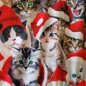 Ugly Cat Holiday Dress